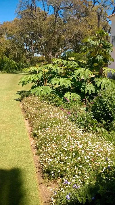 Aljardín Ingenieros finca 3